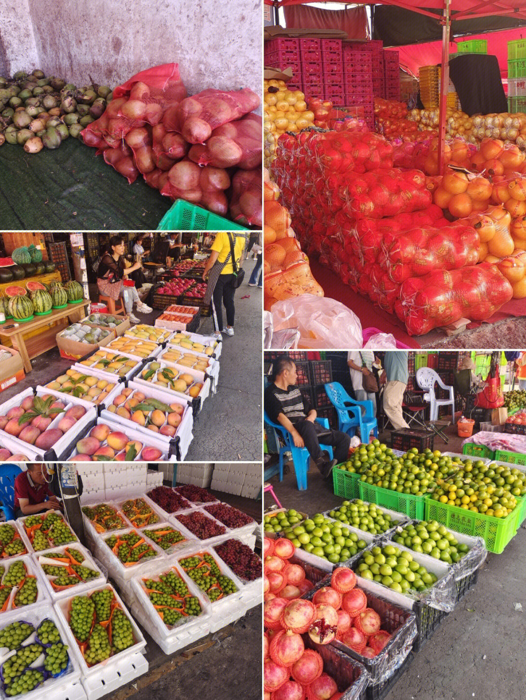 春城鲜香汇 昆明水果蔬菜批发市场探访记