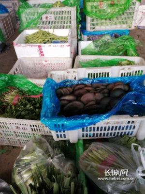 石家庄市鹿泉区 文明单位做表率，战“疫”在前沿，保障新鲜蔬菜批发供应
