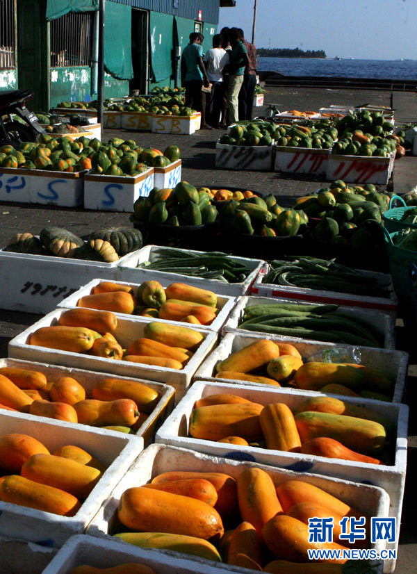 华南的“菜篮子” 揭秘中国最大果蔬批发市场，国内70%进口水果的集散枢纽