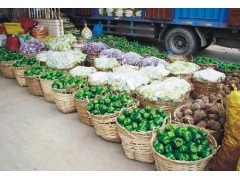 顺嘉兴饮食 深耕白云区，打造有机蔬菜配送与新鲜蔬菜批发新标杆