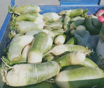 集市寻趣 新一代年轻人的快乐新地标