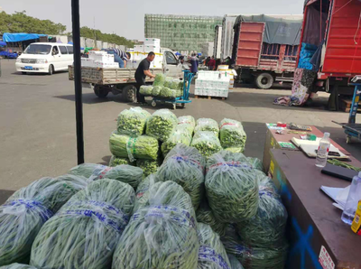 新发地蔬菜产地北移，批发价月内下降12.5% 菜更新鲜，消费者乐享实惠