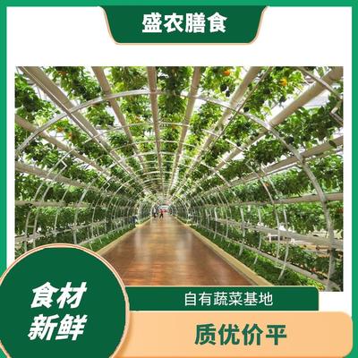 东莞蔬菜配送服务 新鲜蔬菜批发的便捷之选